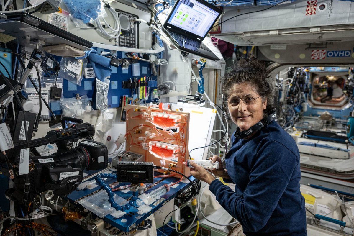 L'Américaine Sunita Williams fin juillet, travaille sur une expérience liée à l'hydratation des plantes. Les deux astronautes sont intégrés au planning de l'ISS © NASA