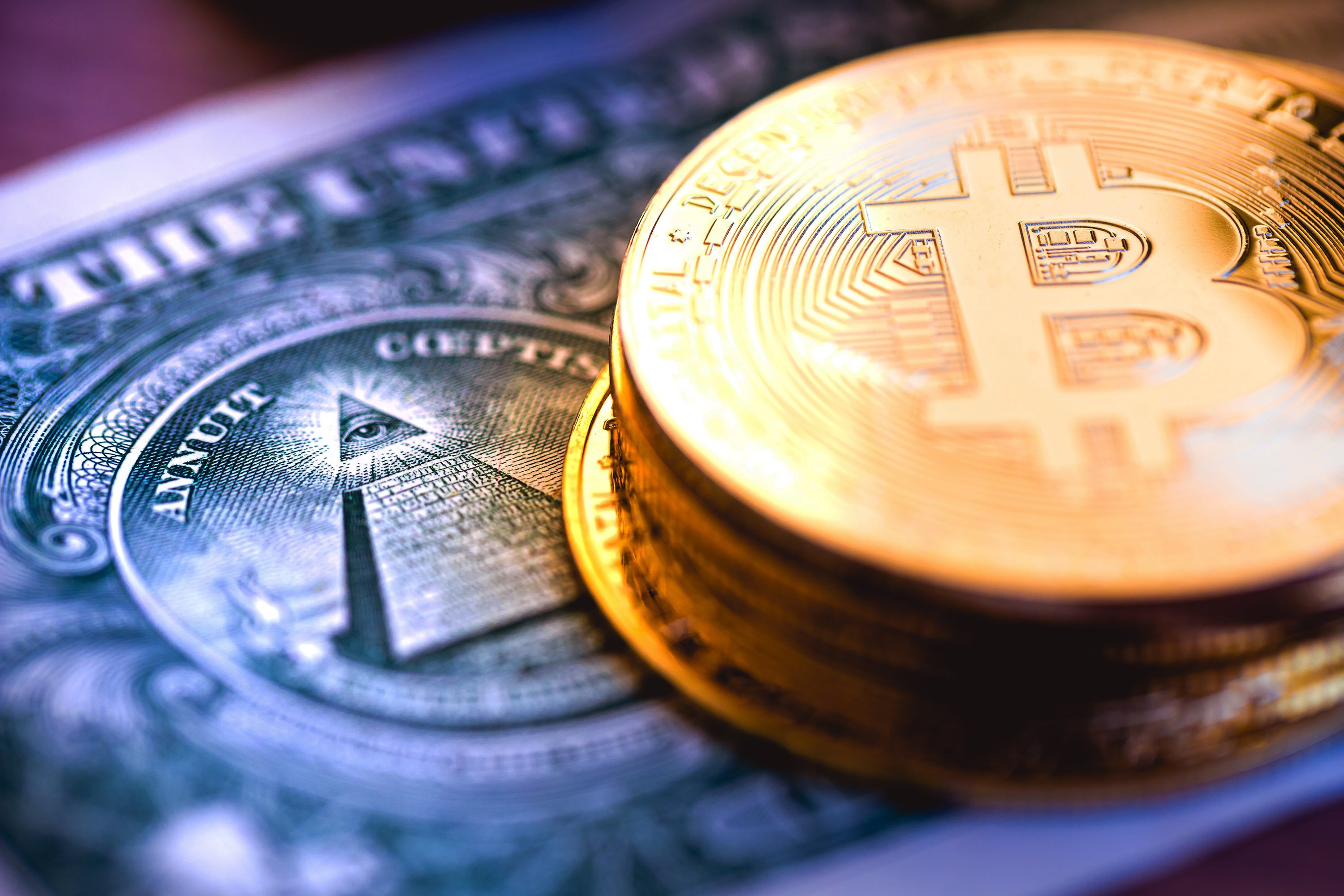 Des pièces estampillées Bitcoin posées sur un billet de dollar américain © Shutterstock.com