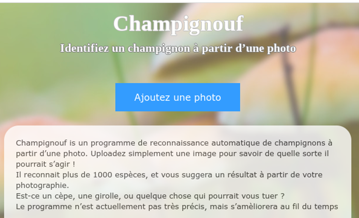 champignouf