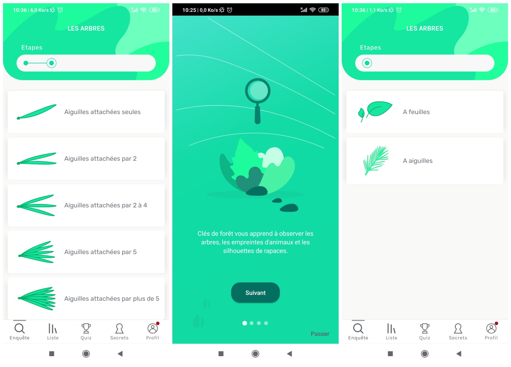 Quelles sont les meilleures applications pour identifier une plante ?  Comparatif 2026
