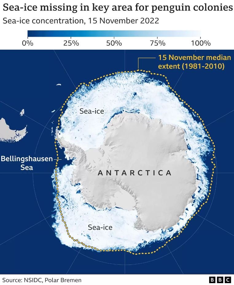 La zone autour de Bellingshausen est particulièrement touchée © NSIDC / Polar Bremen