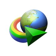 Internet Download Manager (IDM)