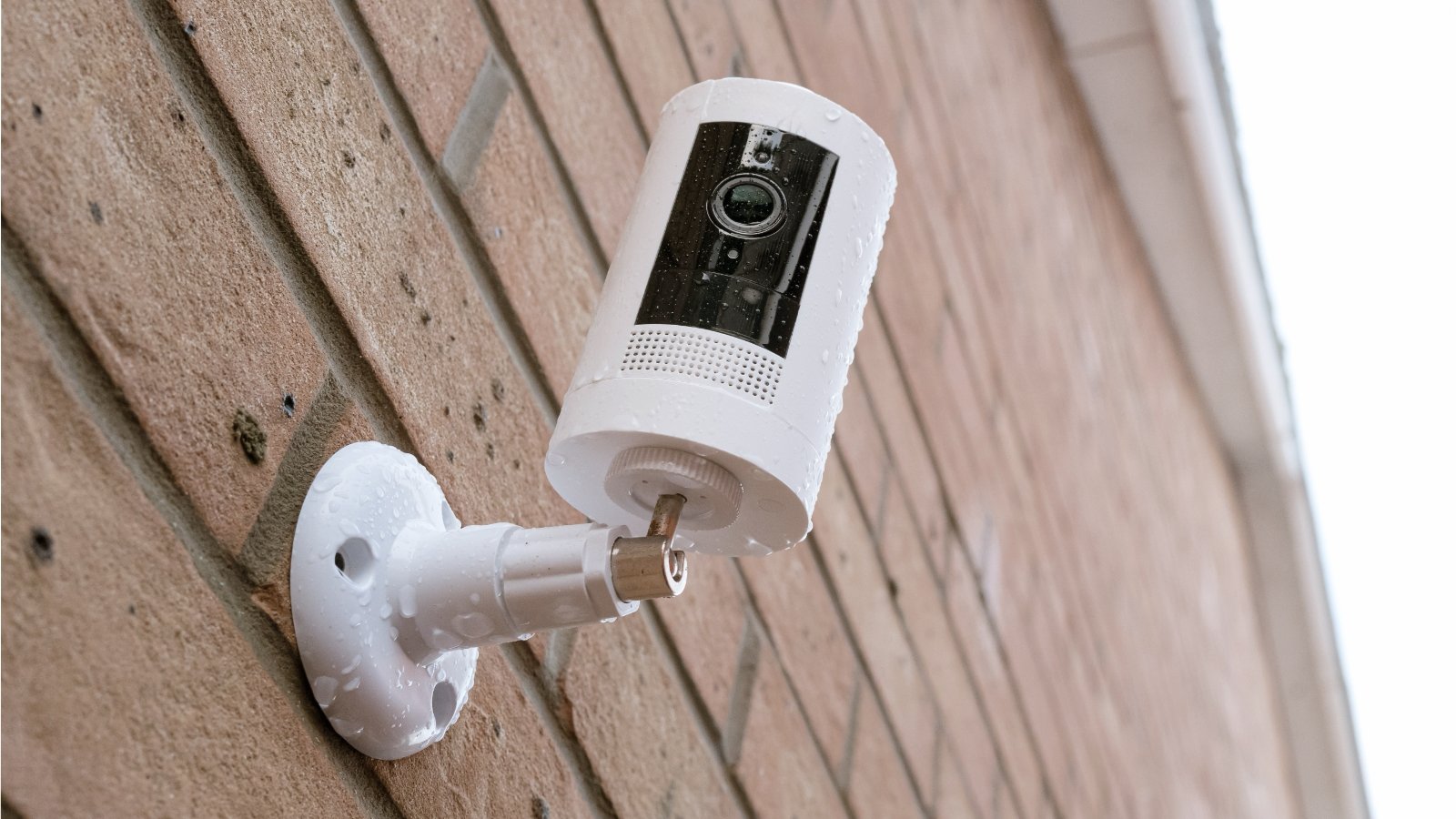 Un nouvel outil pour vérifier que vos images personnelles ne sont pas des deepfakes ©Shutterstock.com