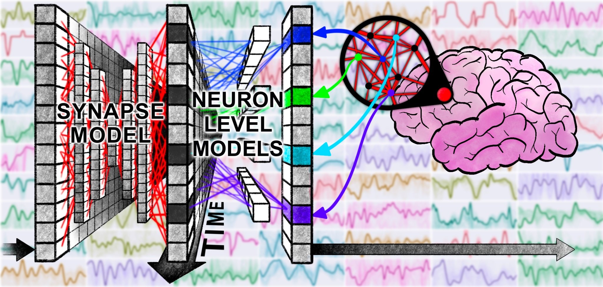 Illustration du mode de fonctionnement d'une CTM© Sakana AI