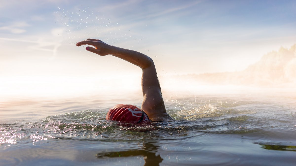  La biomimétique, c'est-à-dire l'imitation des systèmes naturels pour concevoir de nouvelles technologies, a permis d'énormes avancées en robotique, particulièrement pour les robots aquatiques. © DZiegler / Shutterstock