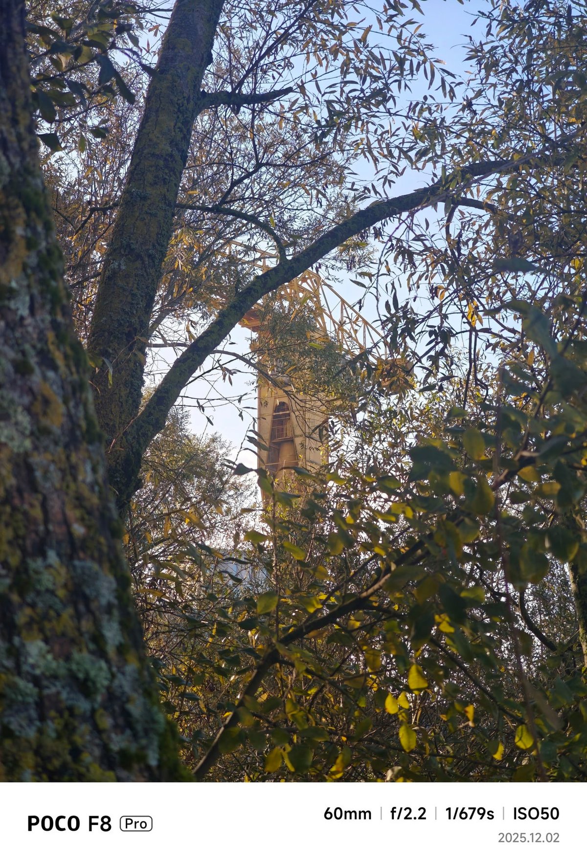 Observez la différence de colorimétrie entre le zoom numérique 2x et optique 2,5.