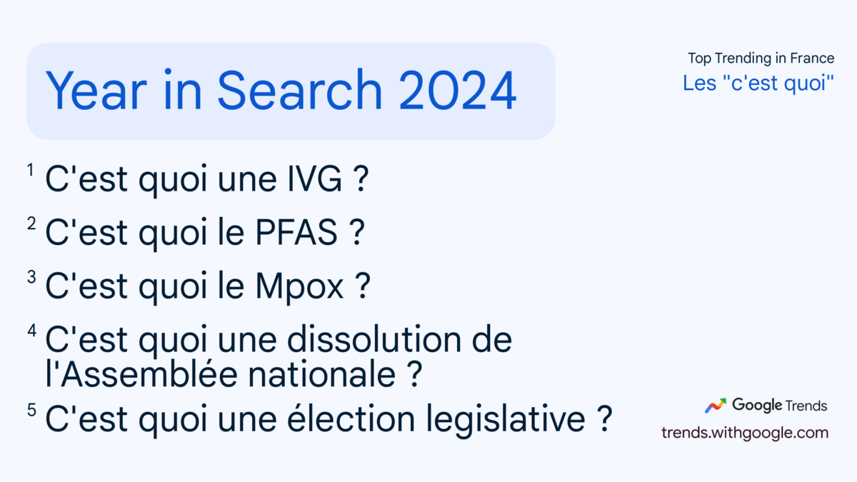 Les Français ont (re)découvert le fonctionnement d'une IVG et d'une élection législative cette année © Google