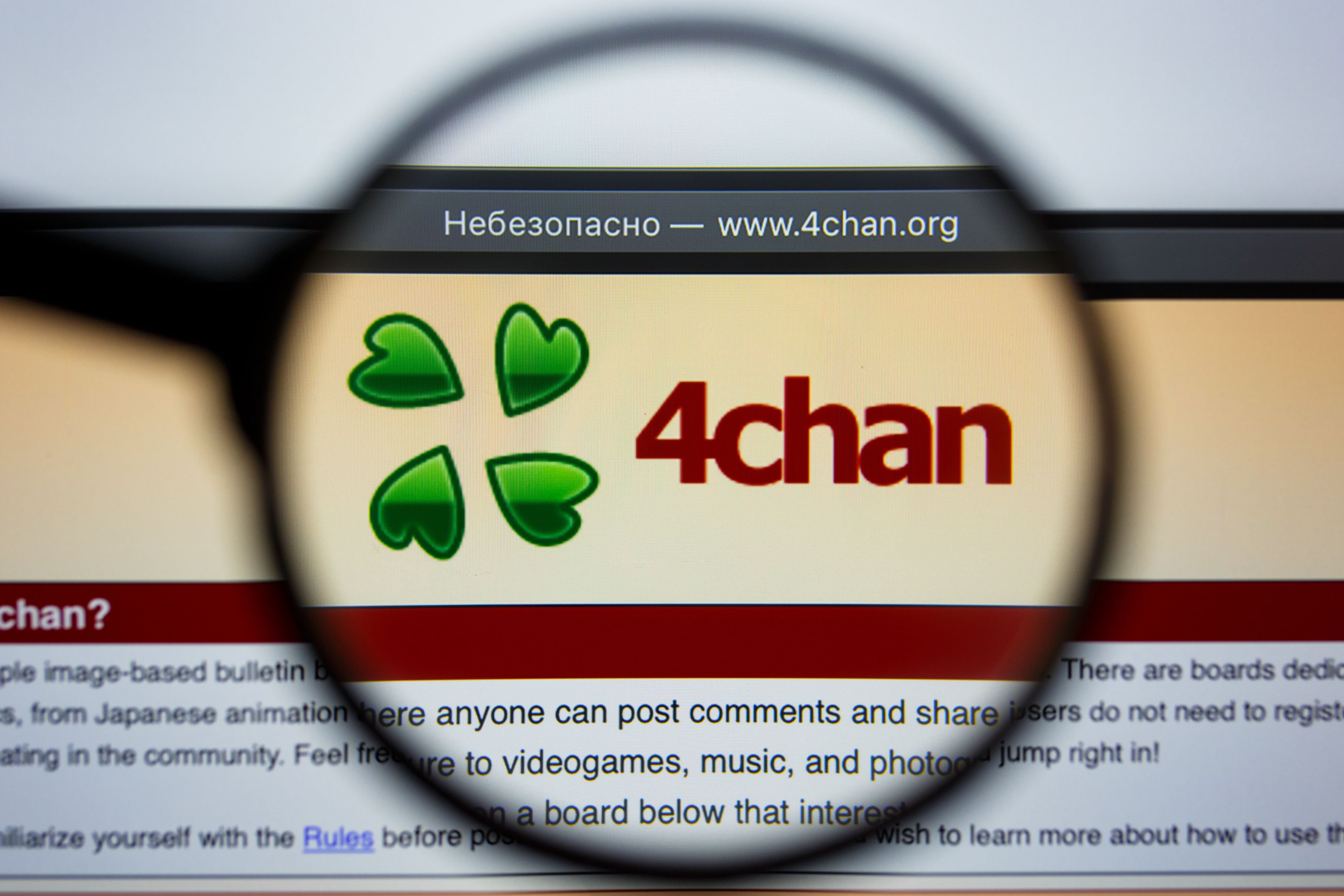 Le forum 4chan est de retour © Shutterstock