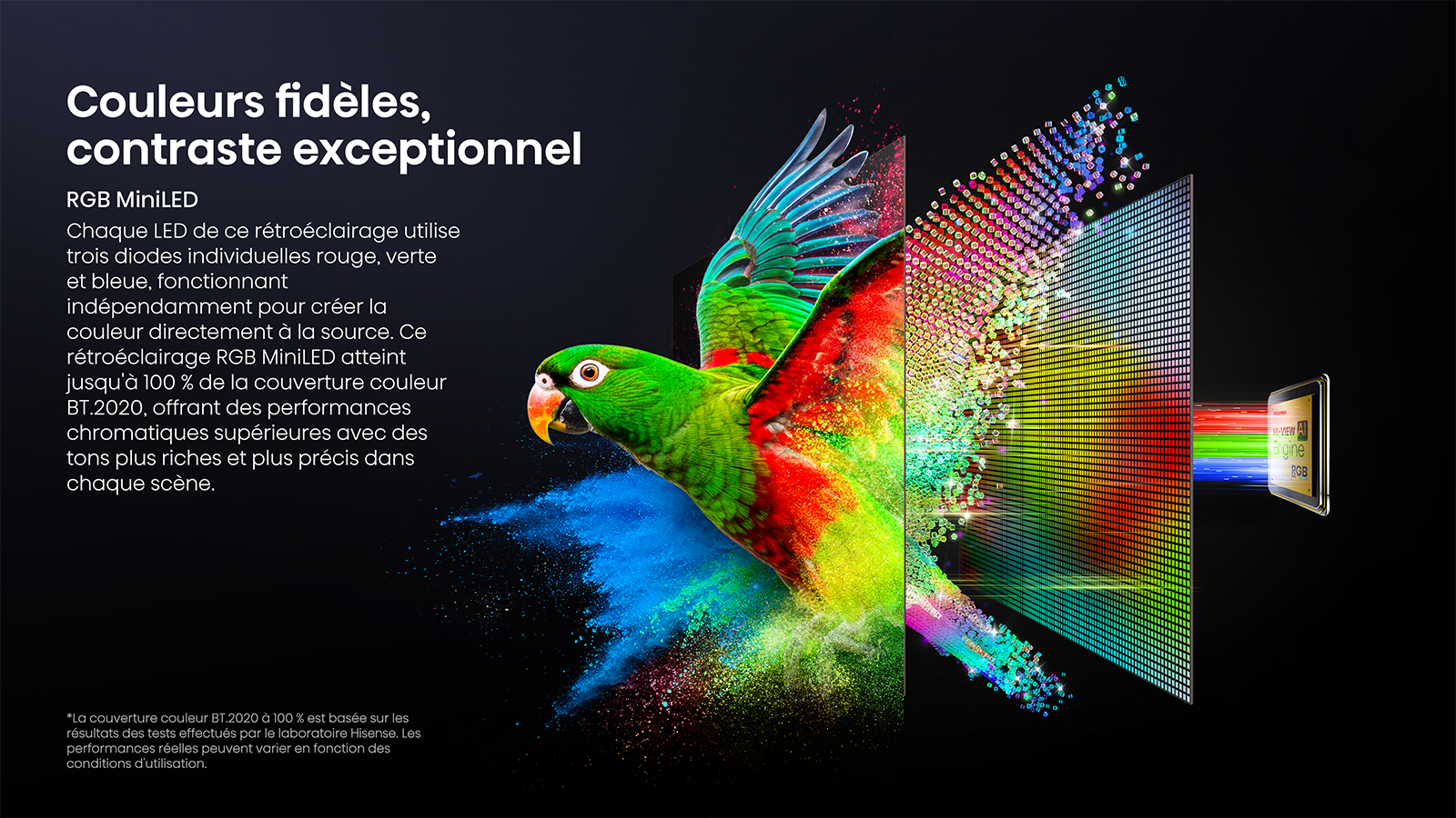 L'image révèle des couleurs riches, des contrastes naturels et des scènes sombres maîtrisées sans aucun voile gris. ©Hisense