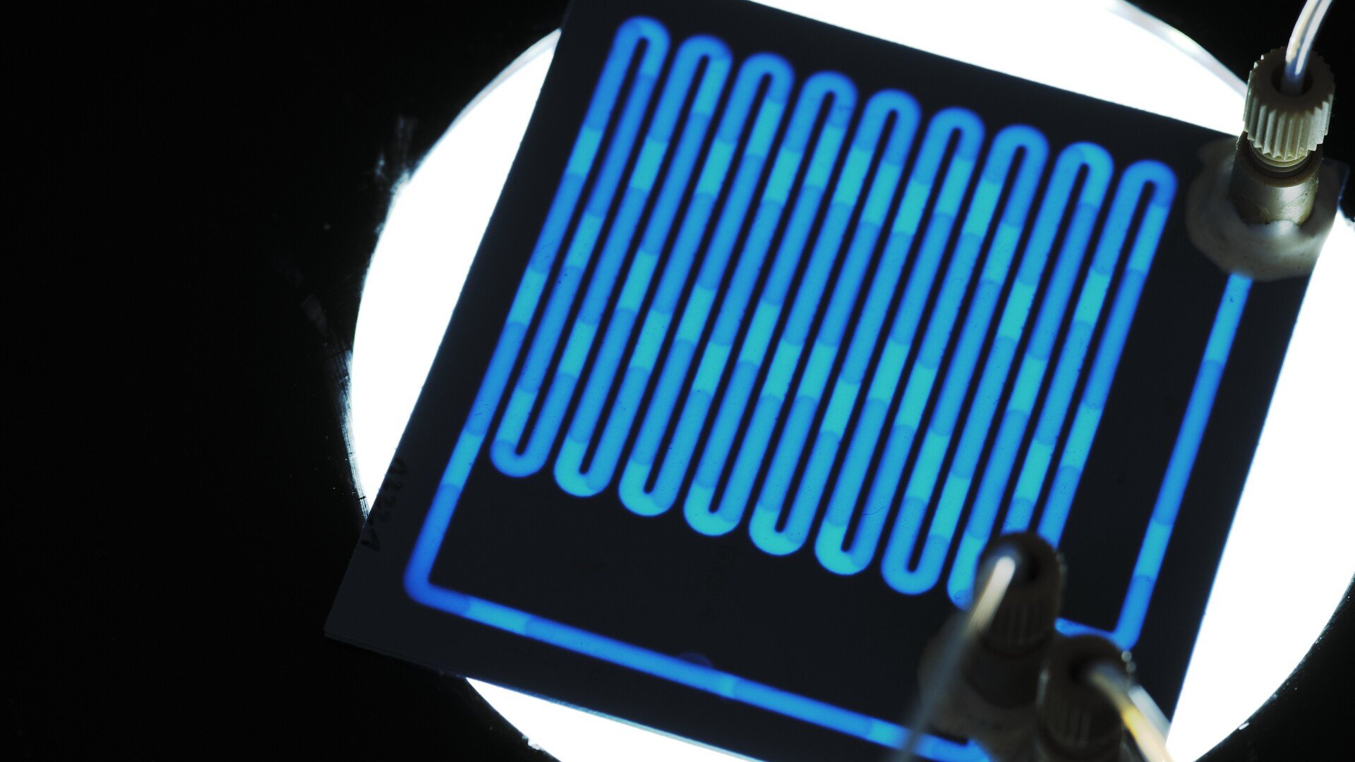 Ce circuit lumineux n'est pas un simple gadget électronique : c'est le cœur du réacteur à plasma froid conçu par Plaskimia, où les molécules de demain pourraient bien voir le jour. © Plaskimia