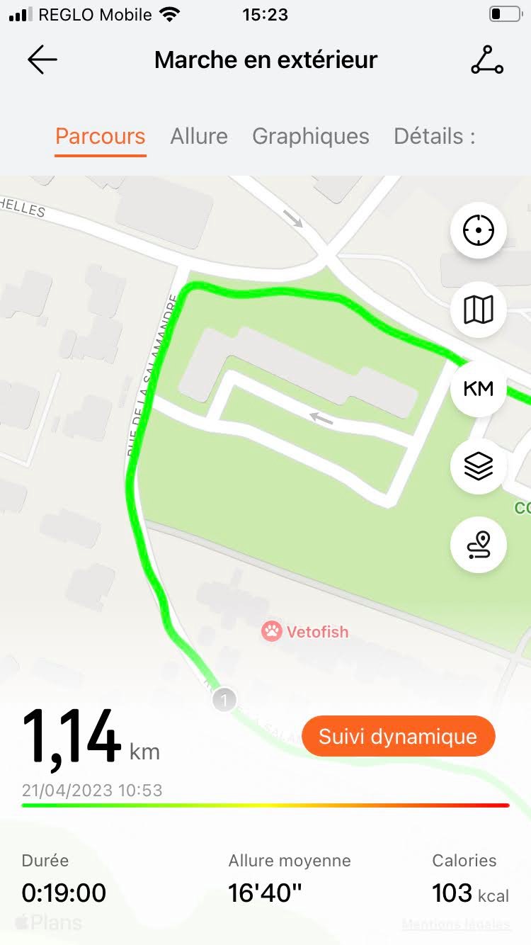 Huawei Santé - Suivi GPS 4