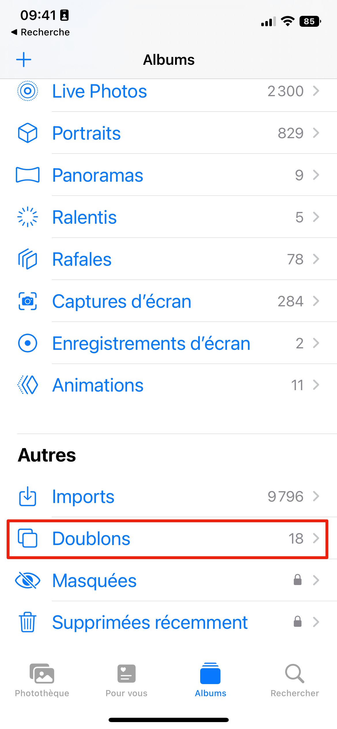 iOS 16 Photos doublons