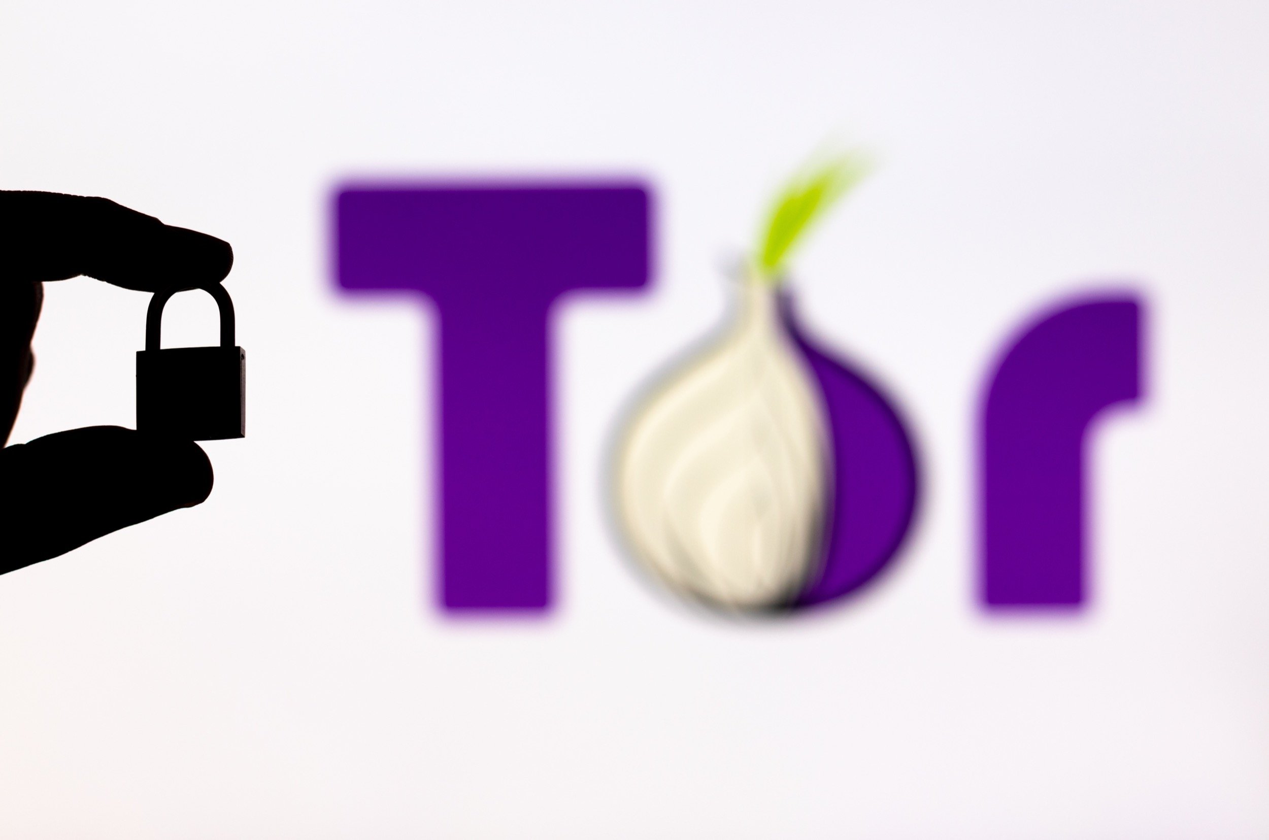 Adieu les fuites réseau ? Ce nouveau projet Tor veut isoler vos applis Linux comme jamais auparavant. © Alberto Garcia Guillen / Shutterstock