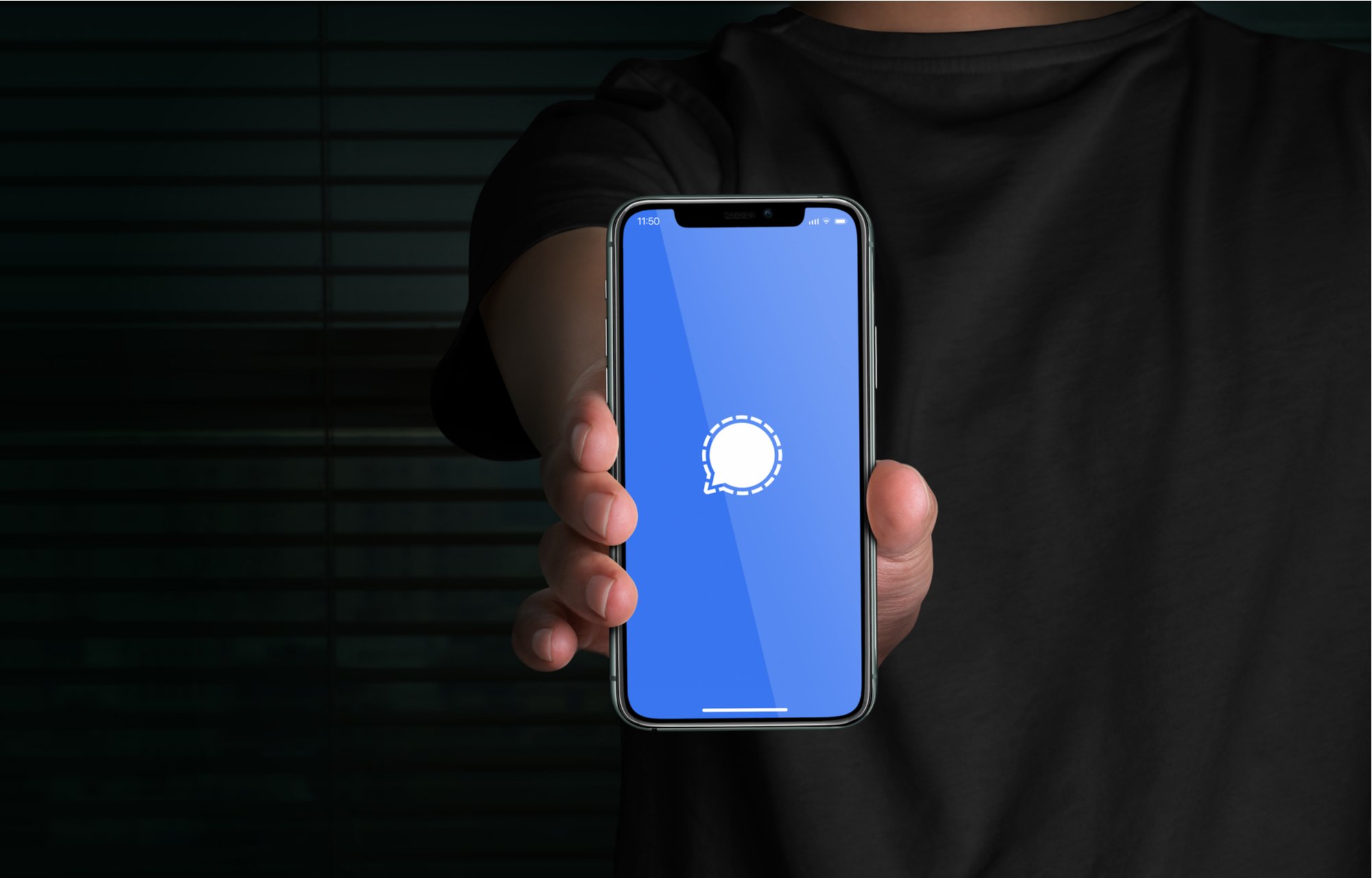 © Eliseu Geisler / Shutterstock.com