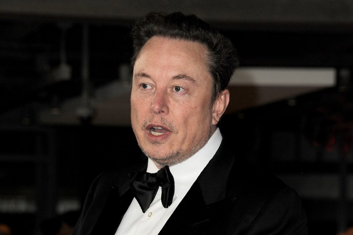 Elon Musk © Tinseltown / Shutterstock.com