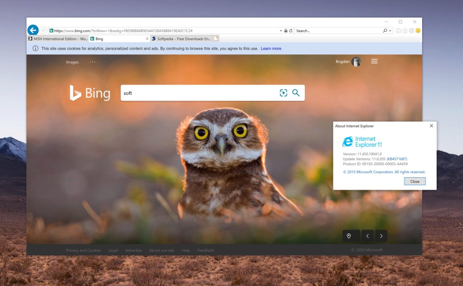 Internet Explorer 11 sur Windows 10, pour illustration // © Softpedia News