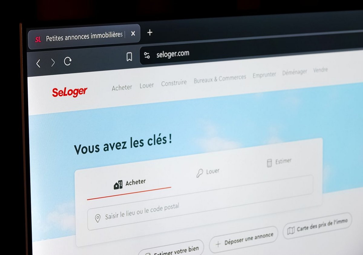 Sur SeLoger comme sur d'autres plateformes, si c'est trop beau pour être vrai, c'est que ça n'est pas vrai - ©Romain P19 / Shutterstock