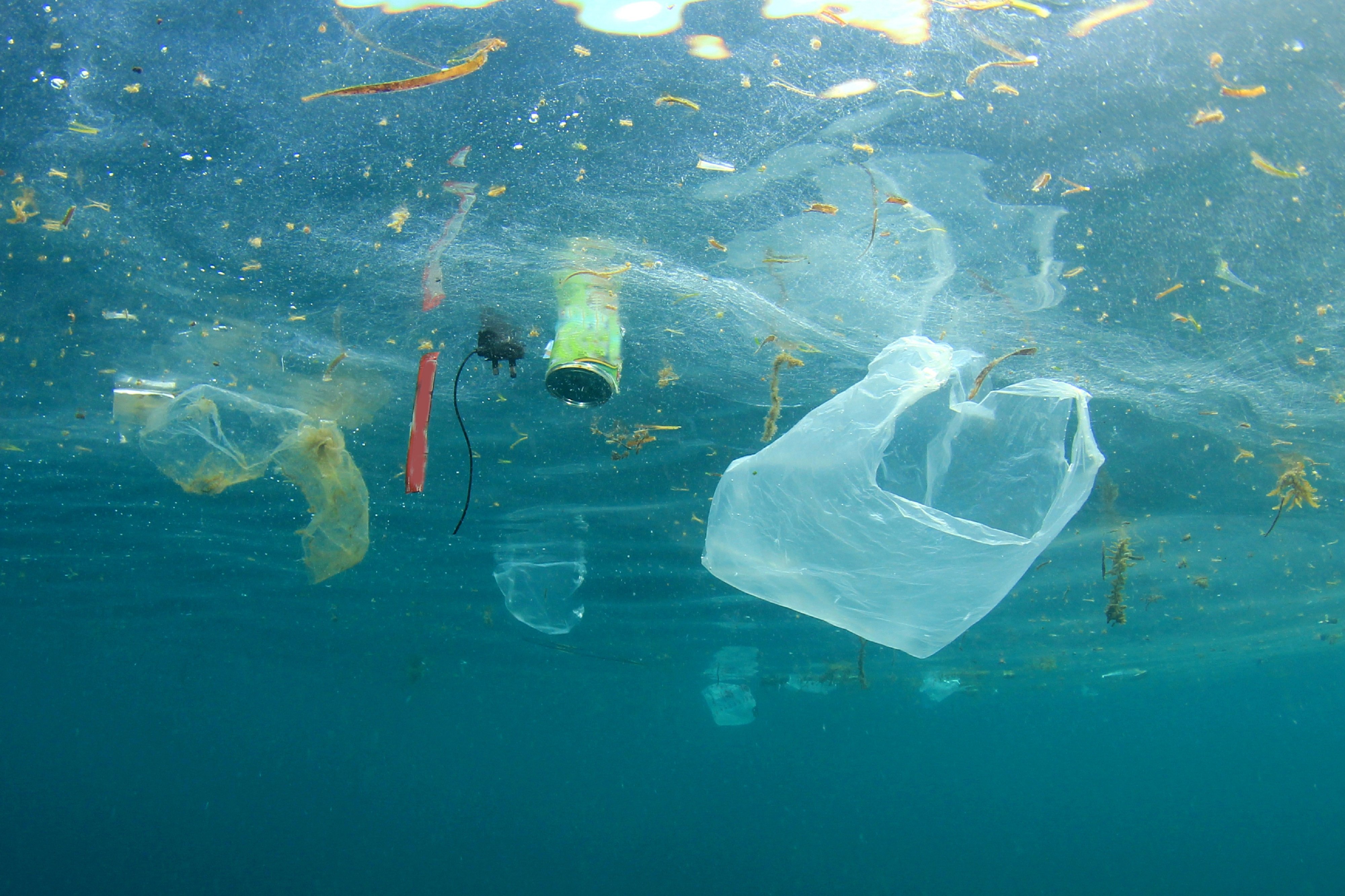 Le plastique, une pollution à combattre