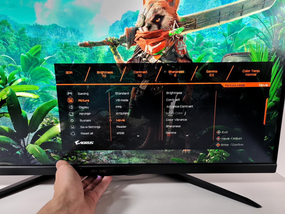 Test AORUS FI32U_4