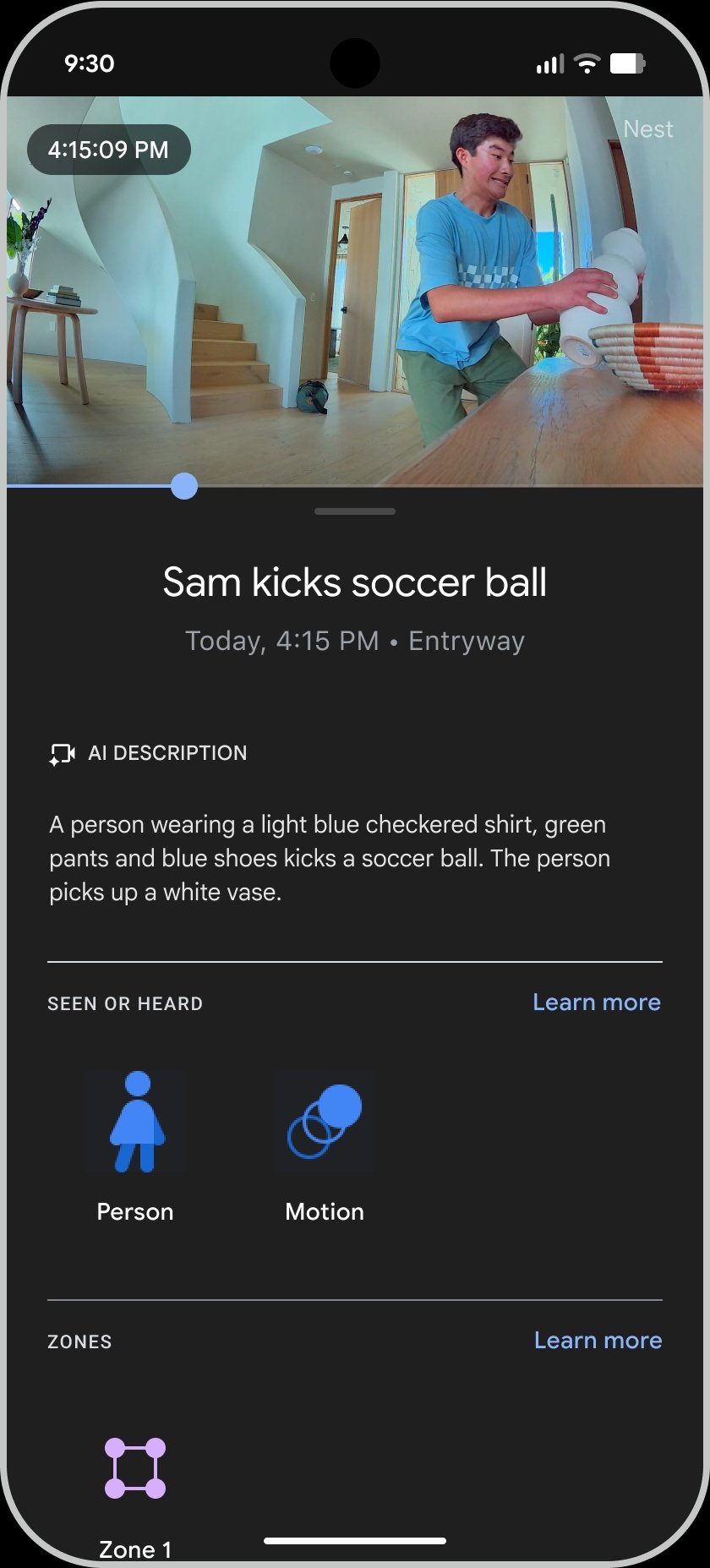 Google Home Gemini
