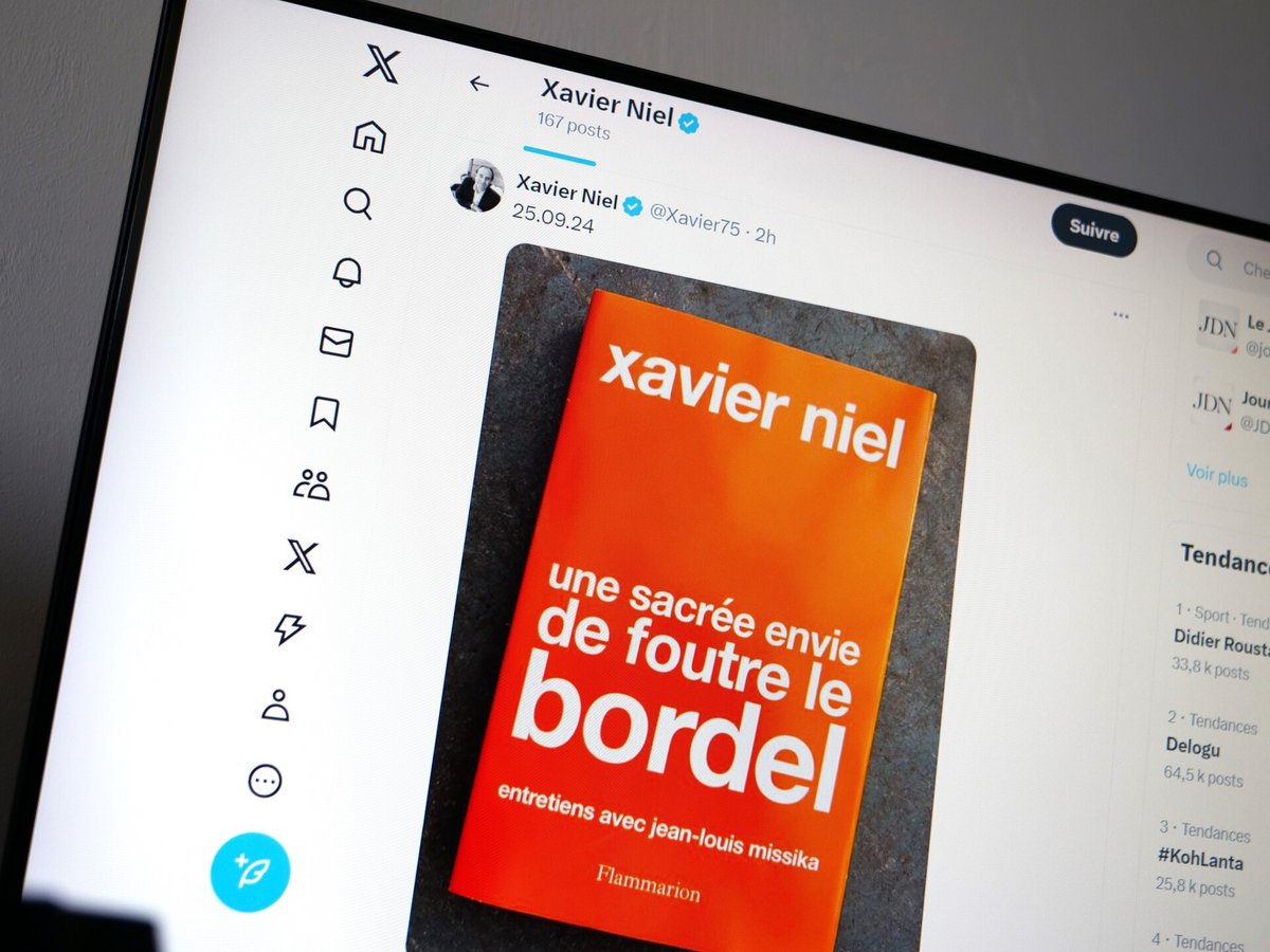 Xavier Niel provoque avec son livre © Capture d'écran X de Xavier Niel, par Alexandre Boero