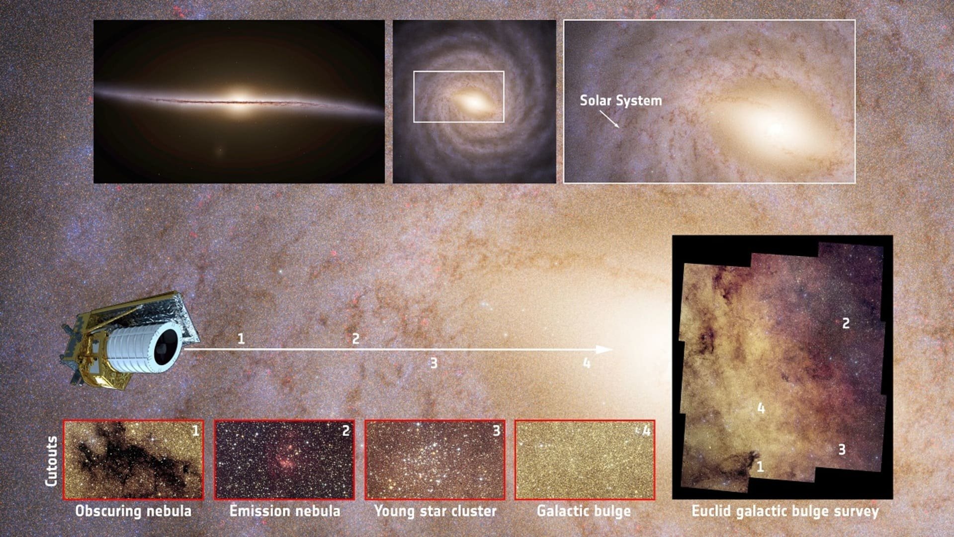 La construction progressive du cliché détaillée. © ESA/Euclid/Euclid Consortium/NASA