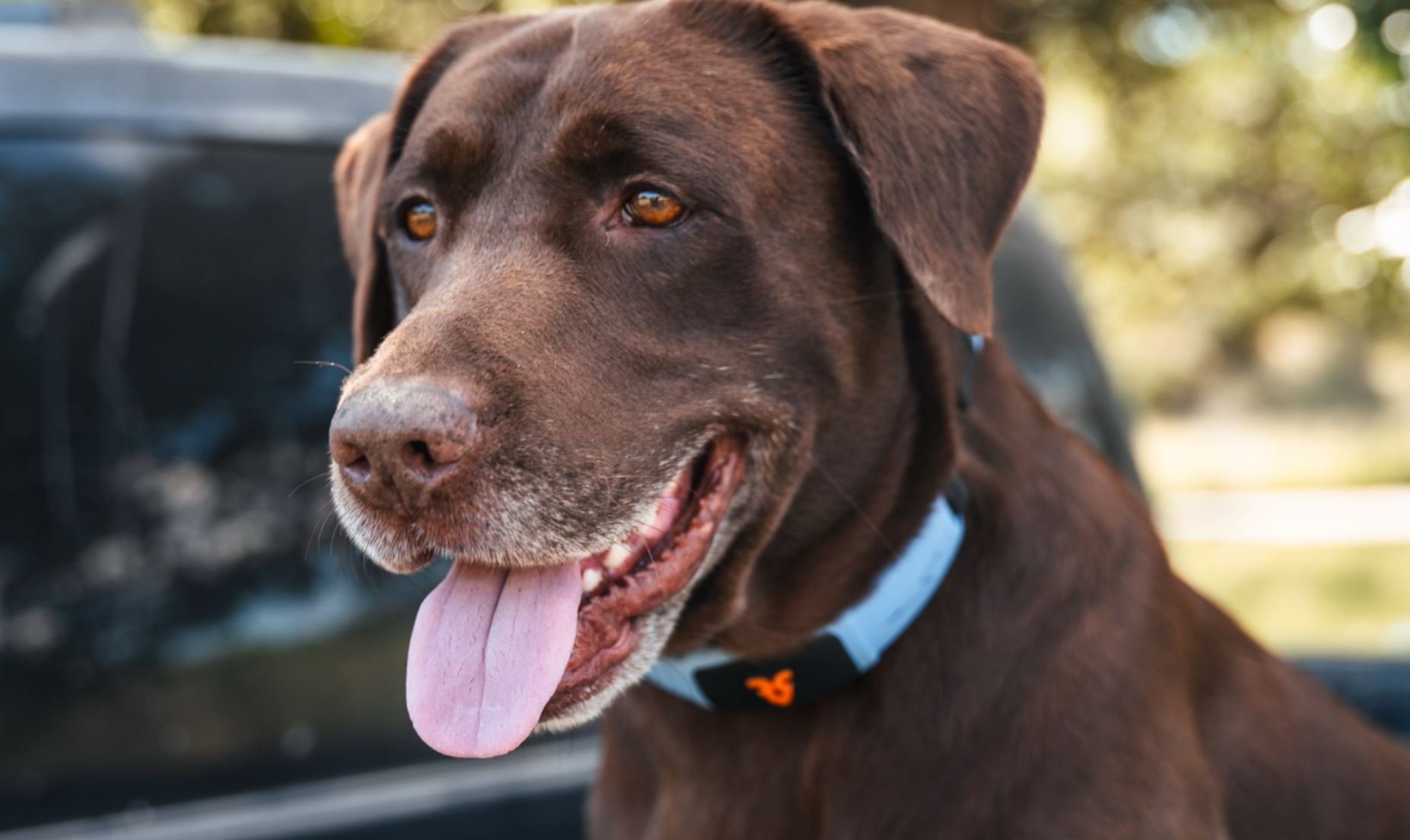 Coucou toi, comment vas-tu aujourd'hui, bien dormi ? © Personifi AI