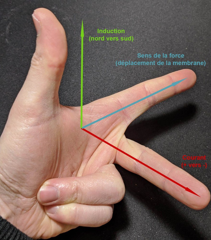 Illustration simple pour montrer le sens du déplacement d'une membrane (fixée à une bobine) 