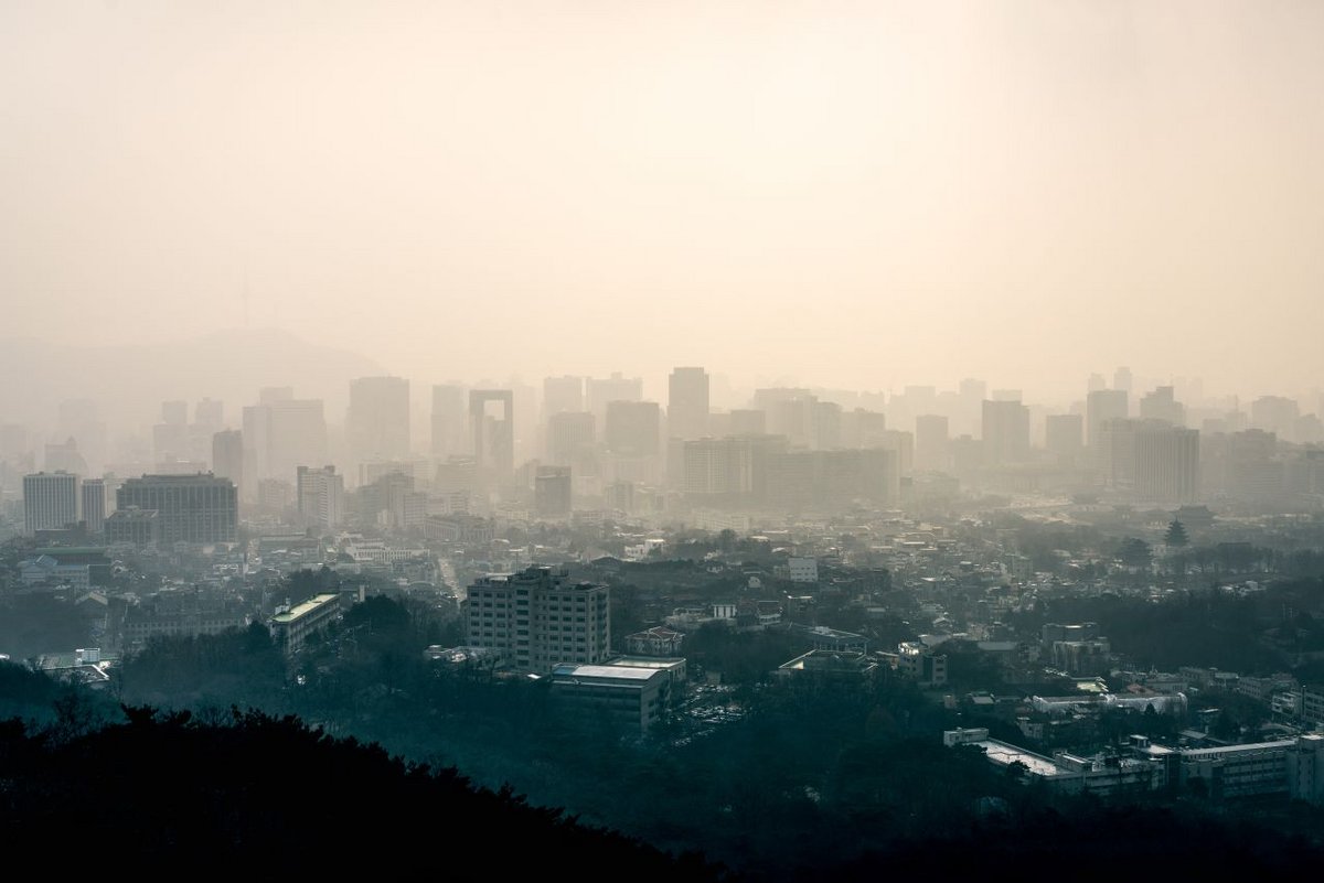 Selon les députés, la qualité de l'air s'est nettement améliorée - TTLSC / Shutterstock