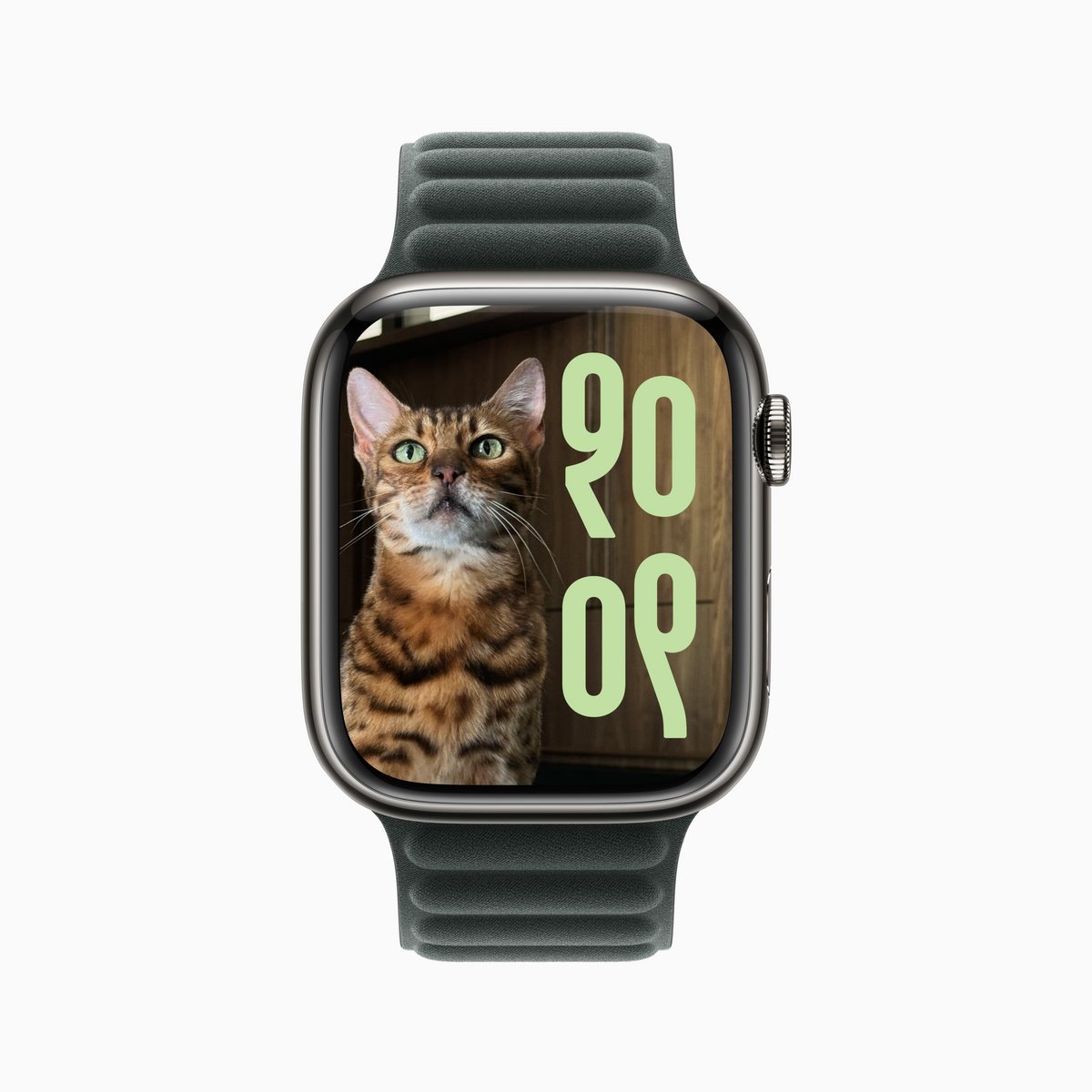 watchOS 11