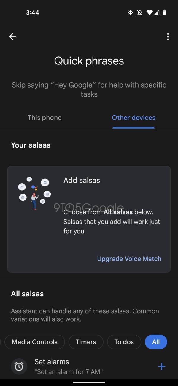 Salsas Google Assistant