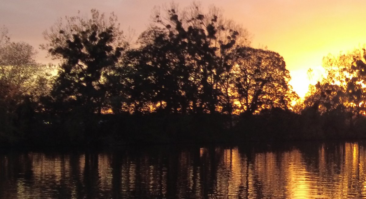 La même image à 100%... la basse luminosité n'est pas son fort