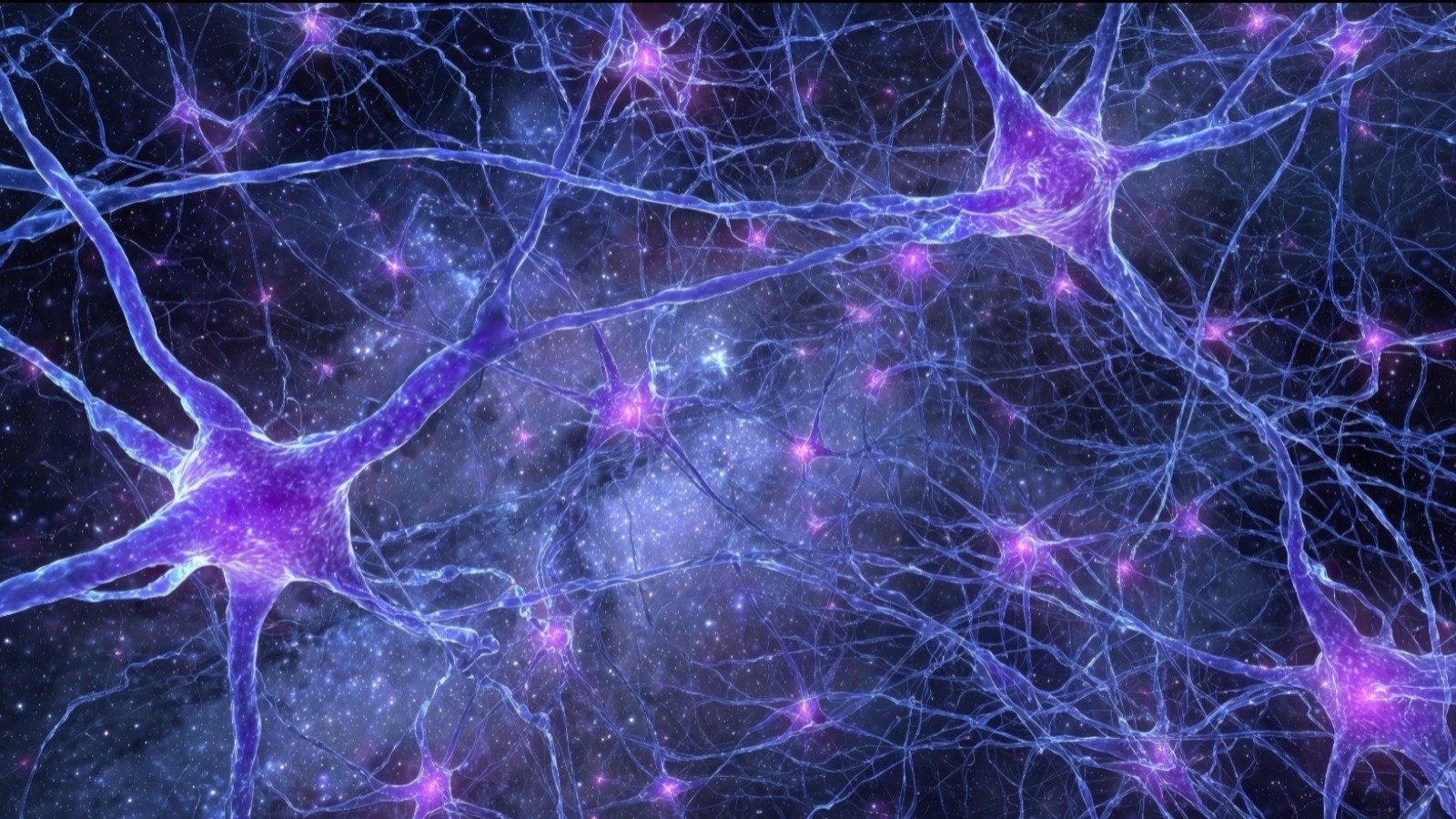 Une fois câblés, ces neurones échangent des impulsions électriques avec le silicium et exécutent des calculs, selon un principe appliqué par Cortical Labs sur ses installations de Melbourne - ©ijoooo / Shutterstock
