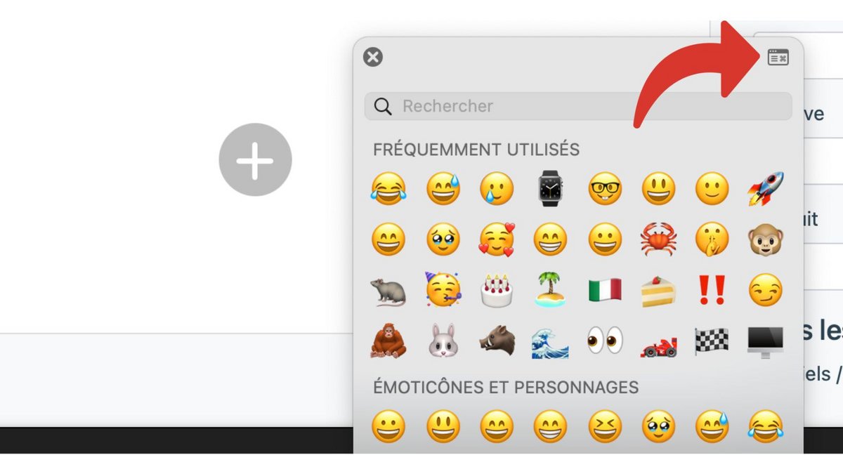 Volet des émojis sur macOS 