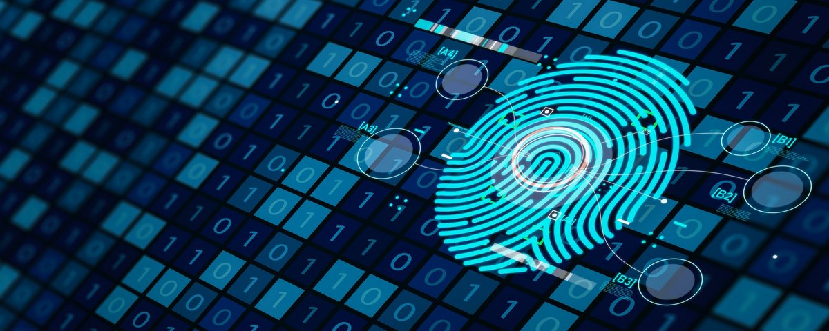 La plupart des VPN no-log distinguent clairement les données d’identification, qu’ils déclarent ne pas collecter, des données anonymisées et agrégées qu’ils peuvent recueillir pour faire fonctionner et améliorer le service. © Fit Ztudio / Shutterstock