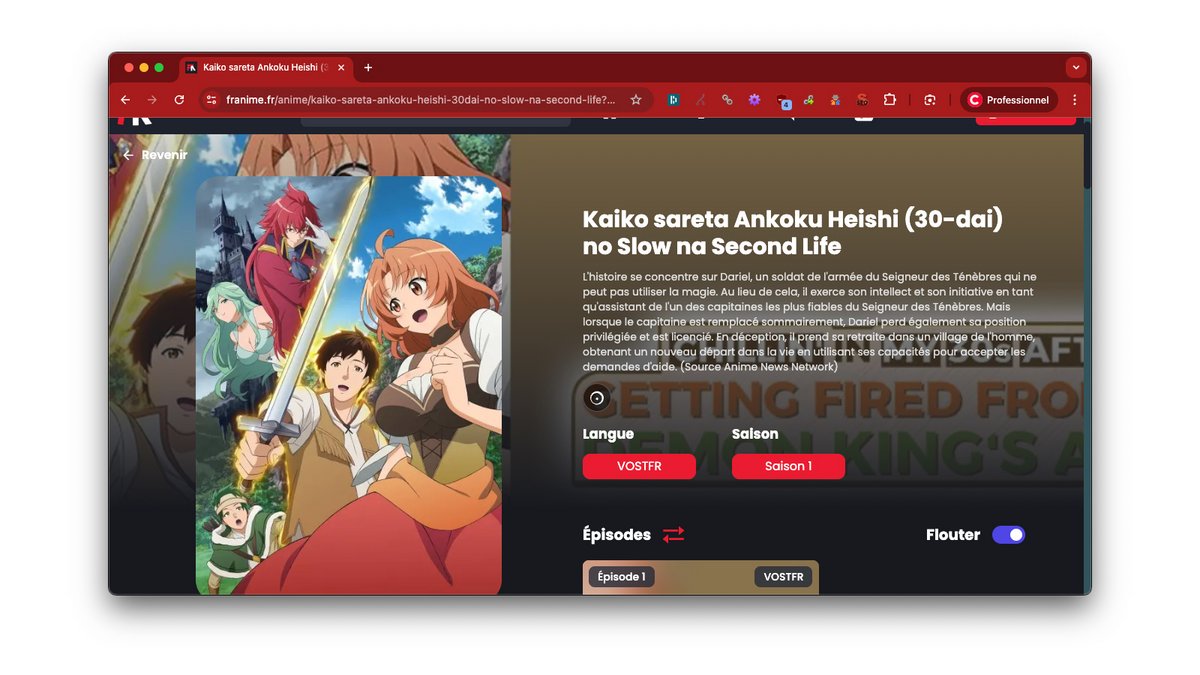 Franime propose un vaste catalogue d’animes et de films en VF ou VOSTFR, classés par genre, saison et popularité, avec des séries cultes et des mises à jour régulières - © Franime