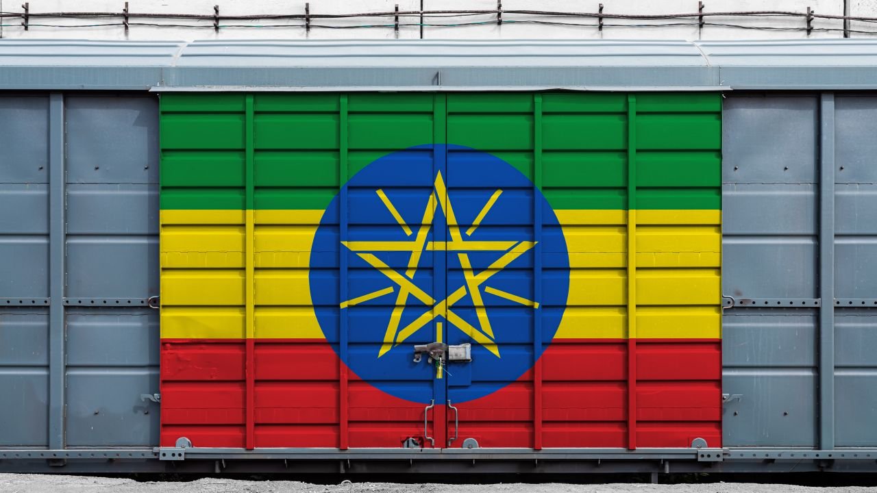 L’Éthiopie est le premier pays à interdire l’importation de voitures à moteur thermique et environ 115 000 véhicules électriques circulent actuellement sur ses routes - ©Everyonephoto Studio / Shutterstock 