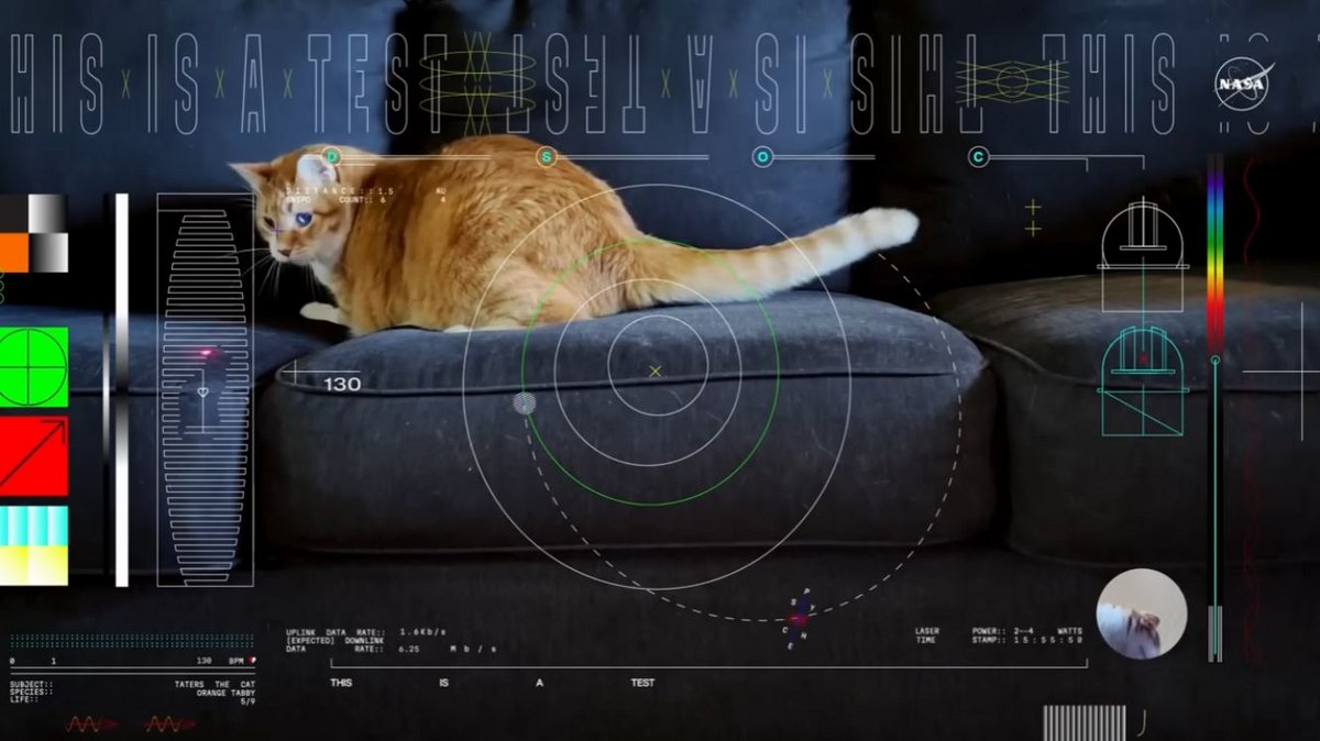 Les images de Taters le chat ont parcouru plus de 30 millions de kilomètres, envoyées par la sonde Psyché. © NASA/JPL-Caltech