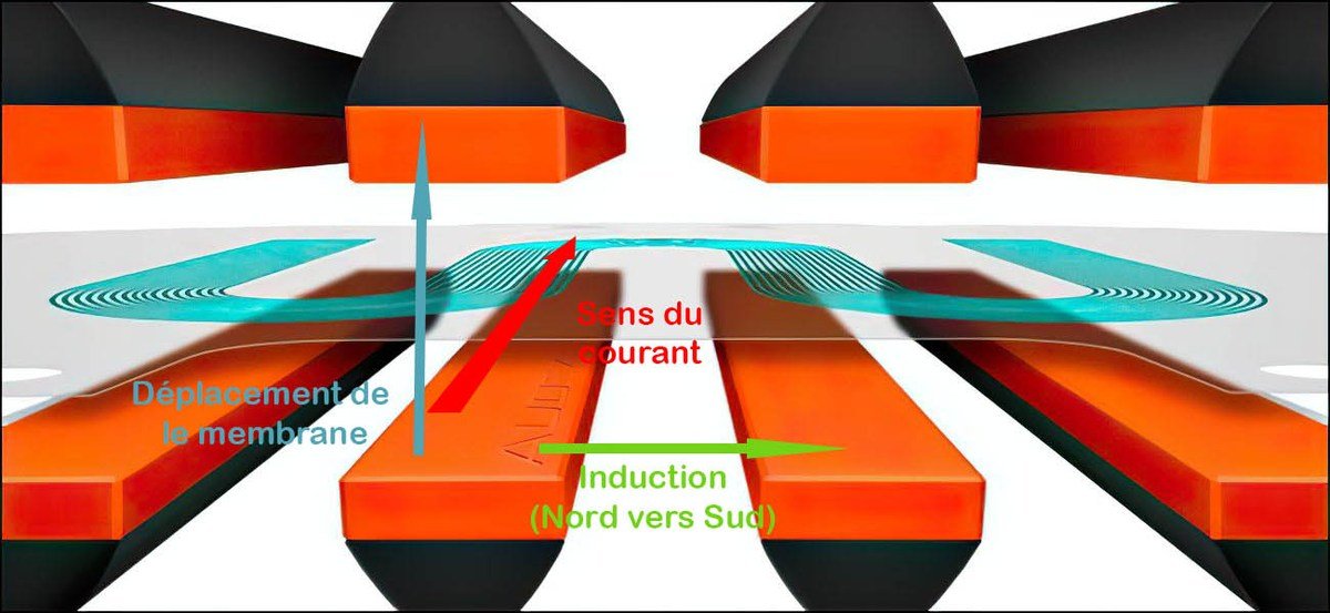 Transducteurs de casques et écouteurs