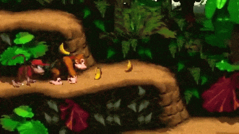 Donkey Kong Country