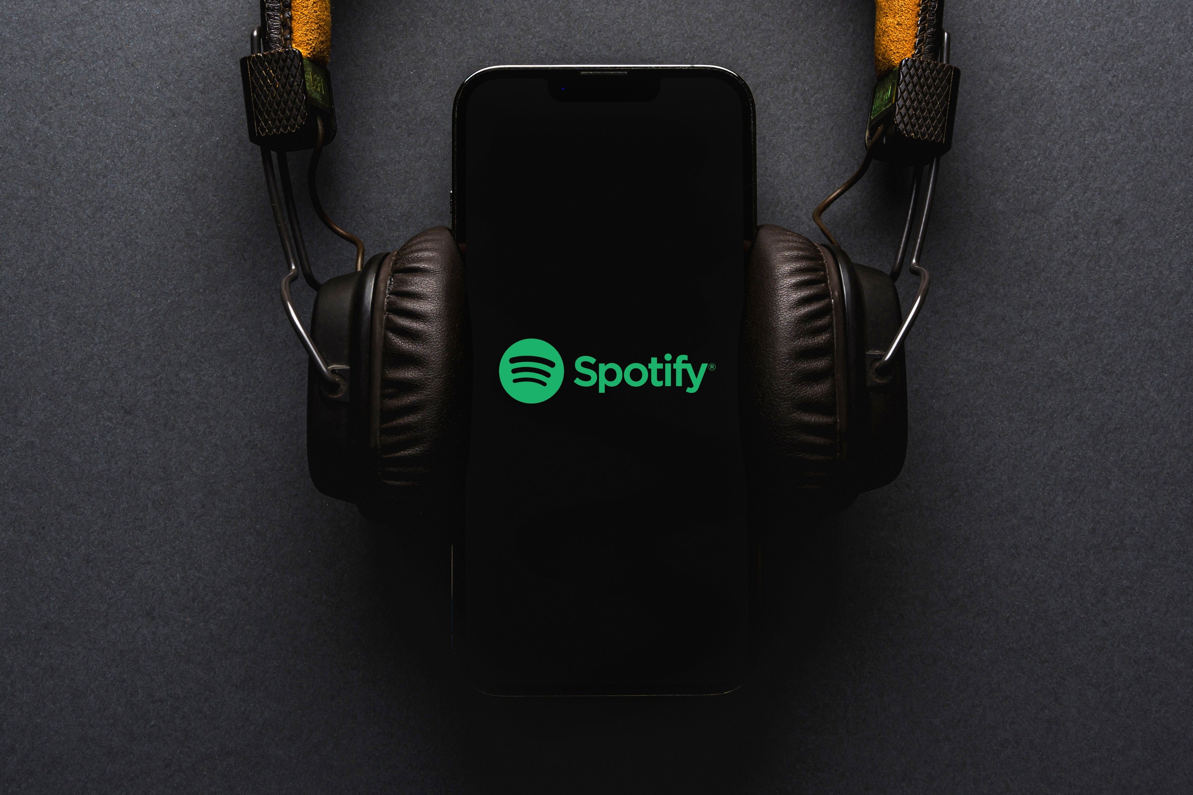 Spotify déploie une nouvelle fonctionnalité qui devrait vite devenir une habitude. © Yalcin Sonat / Shutterstock