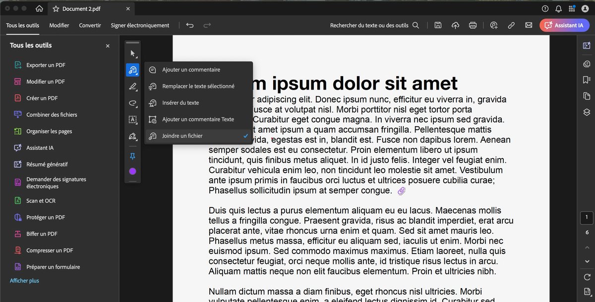 Vous pouvez ajouter des fichiers dans votre document © Adobe