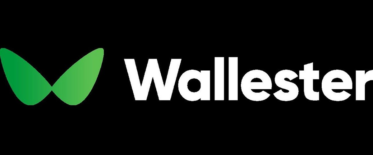 Wallester propose deux offres distinctes. Wallester Business et Wallester white-label - ©Wallester