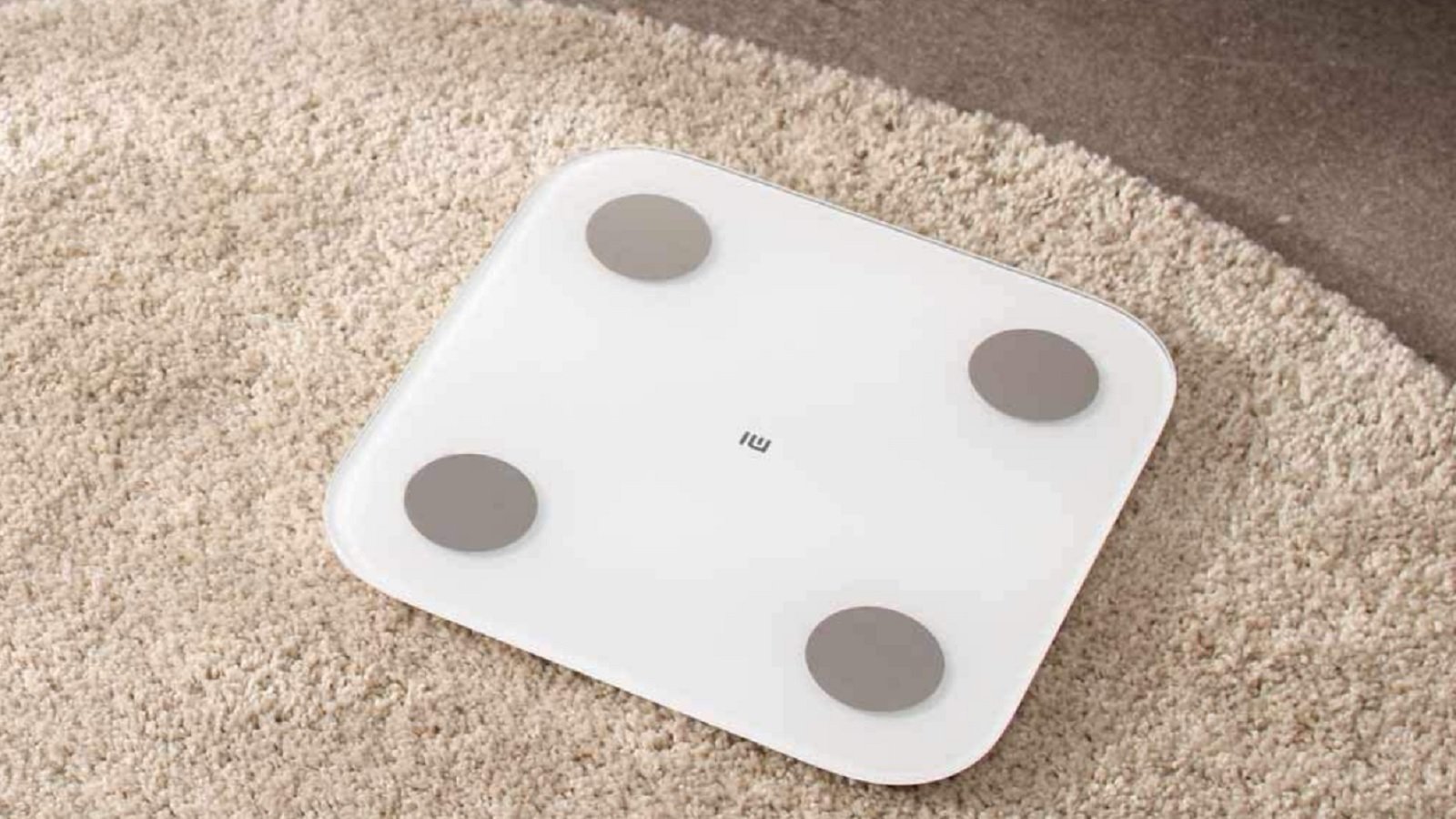 Une balance qui renferme bien des fonctionnalités