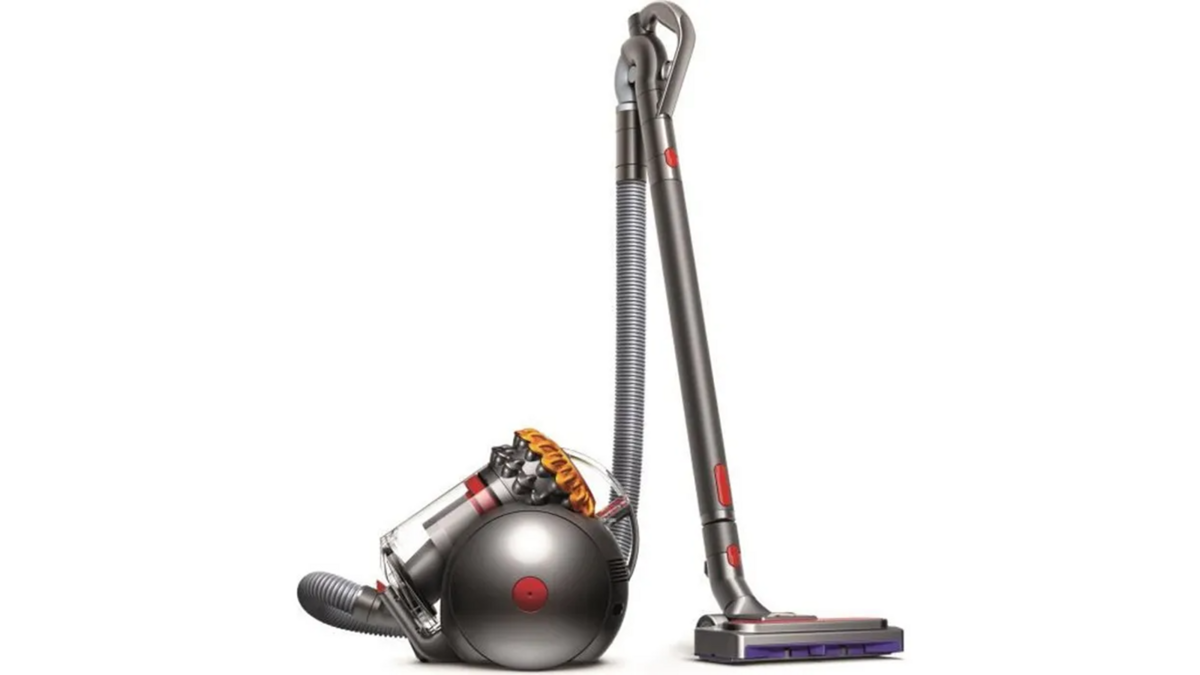 Le Dyson Big Ball Allergy 2