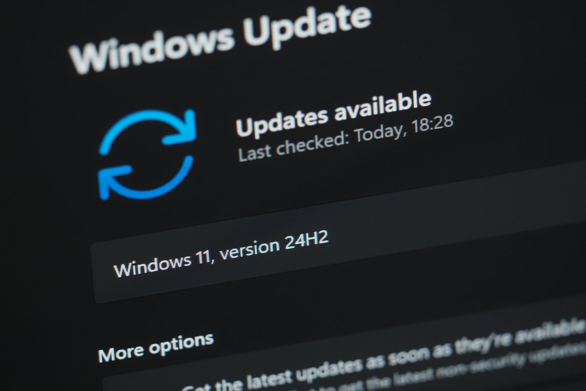 C'est la récente mise à jour KB5051987 qui est au coeur des débats © Daniel Chetroni / Shutterstock