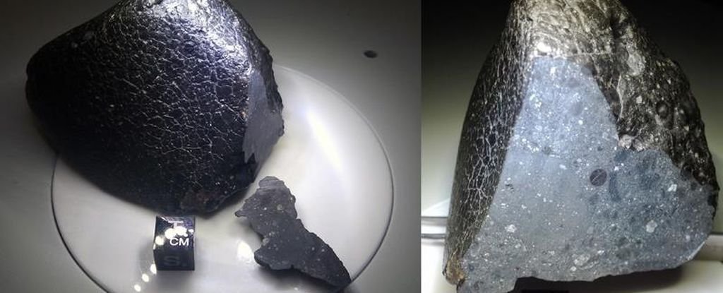  Black Beauty ou NWA 7034 est considérée comme la plus ancienne roche martienne jamais découverte sur Terre. © Institute of Meteoritics, UNM