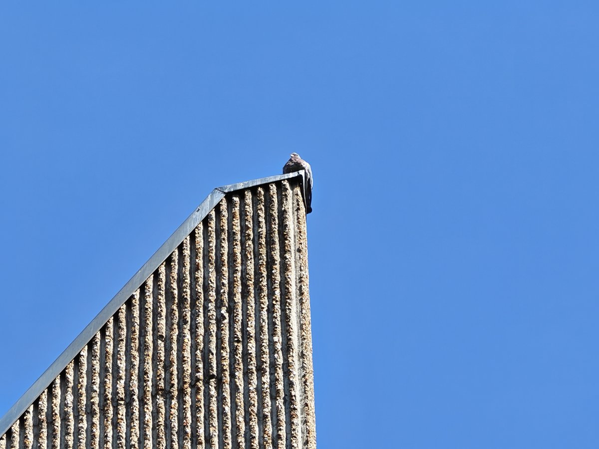 Zoom 10x © Marc Mitrani pour Clubic