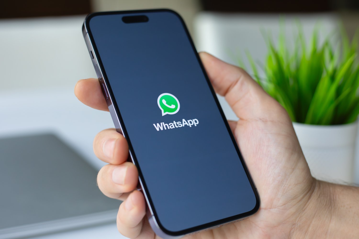 Il y aura finalement un moyen d'éviter les pubs dans WhatsApp. ©DenPhotos / Shutterstock