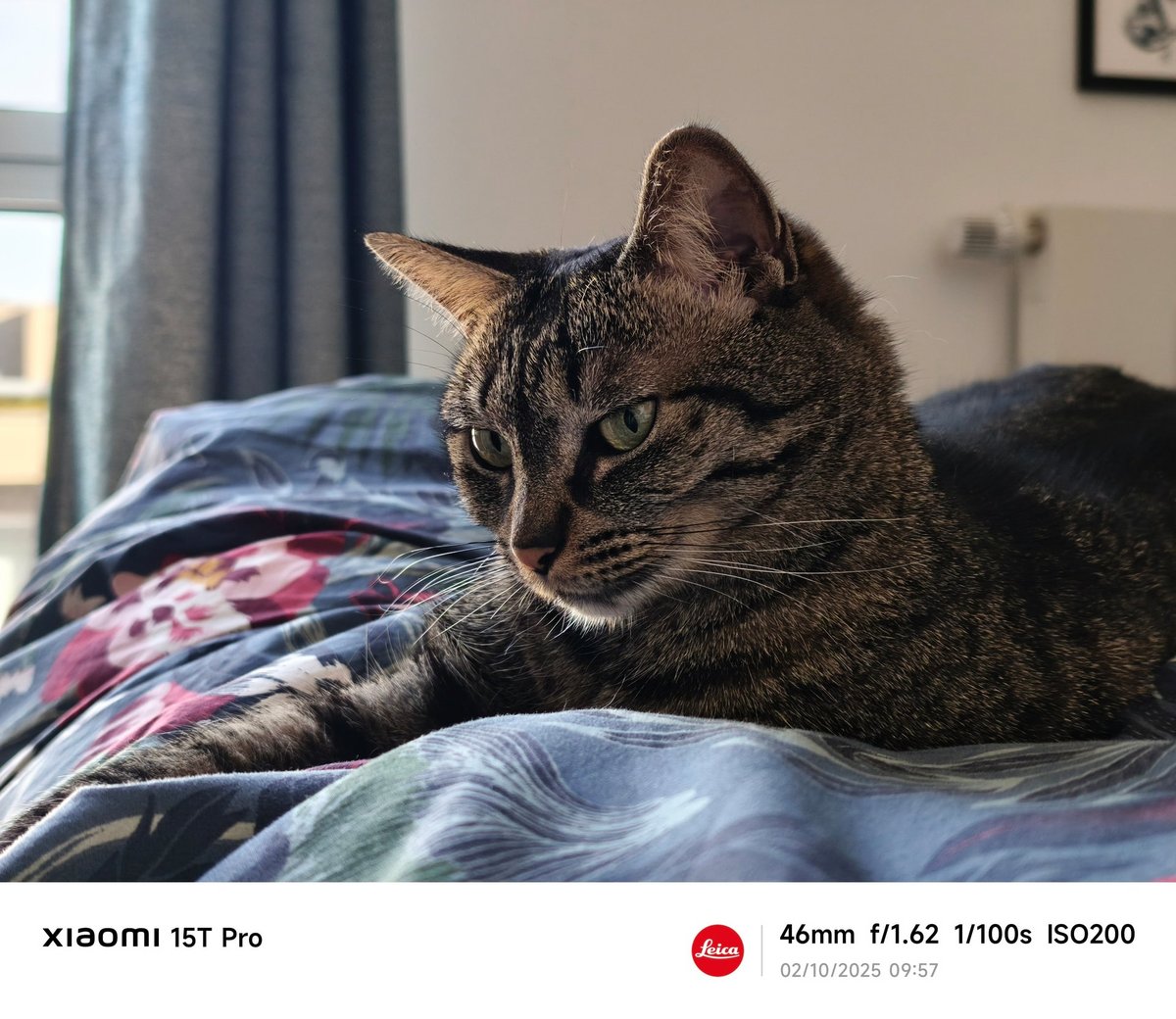 Xiaomi 15T Pro test portrait